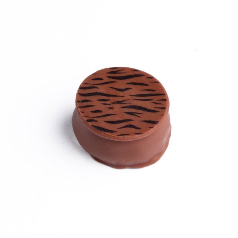 Palet saint domingue